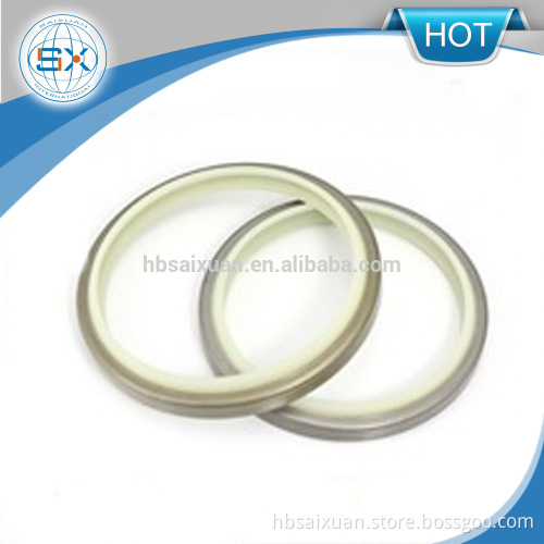 Hydraulic Dkbi, Lbh Type Wiper Seal Dust Seal DKB
